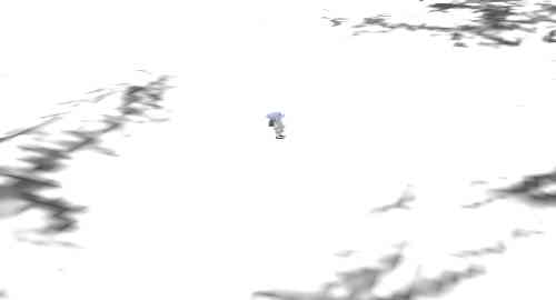 空白项目