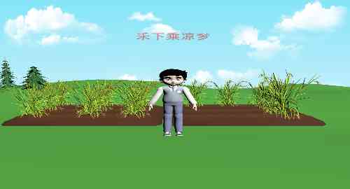 禾下乘凉梦
