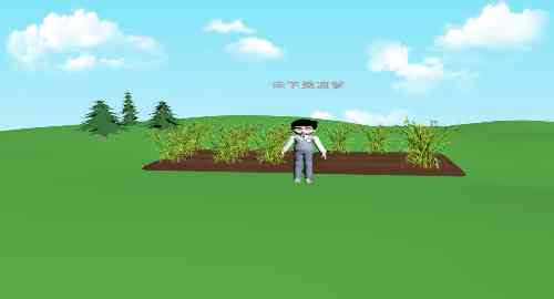 禾下乘凉梦