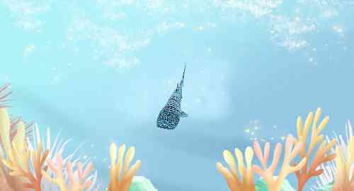 空白项目