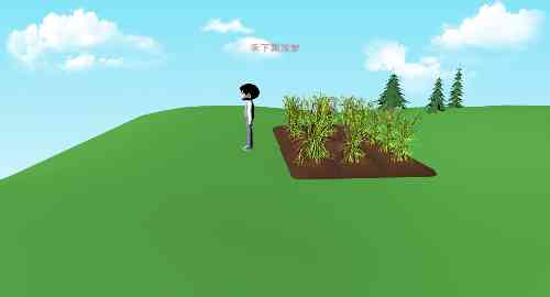 禾下乘凉梦
