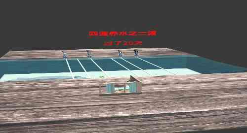 空白项目