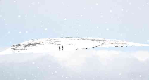 雪山草地