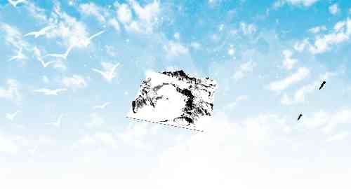 空白项目