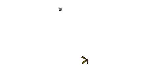 空白项目