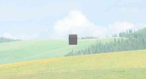 空白项目