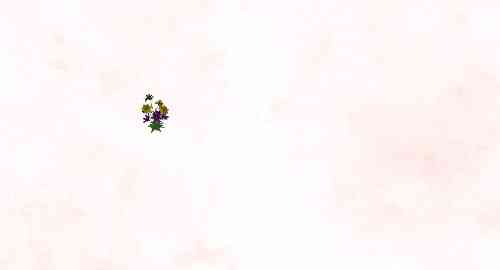 空白项目