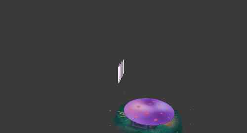 空白项目