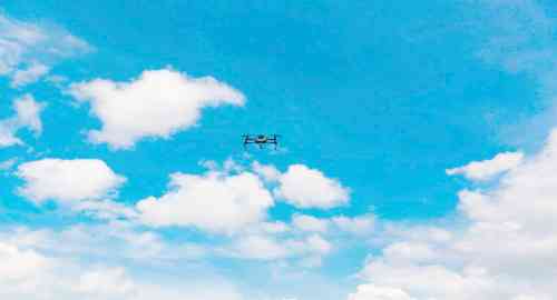 空白项目