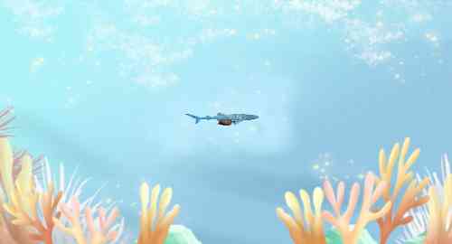 空白项目
