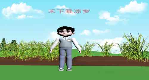 禾下乘凉梦
