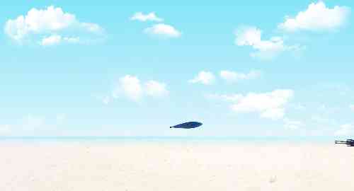 空白项目