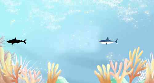 空白项目