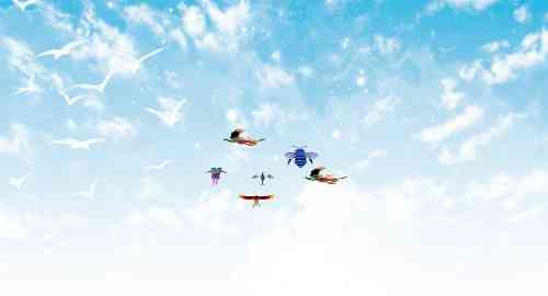 空白项目