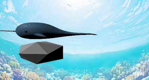 空白项目涛涛涛涛涛涛涛涛涛涛他