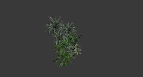 升空