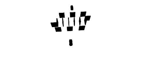空白项目