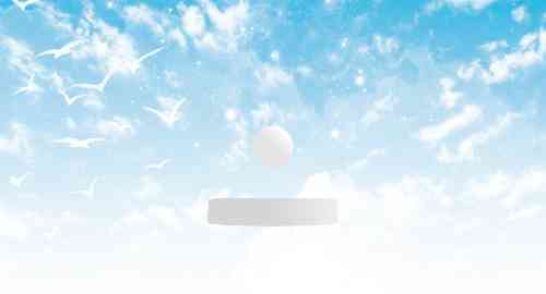 空白项目