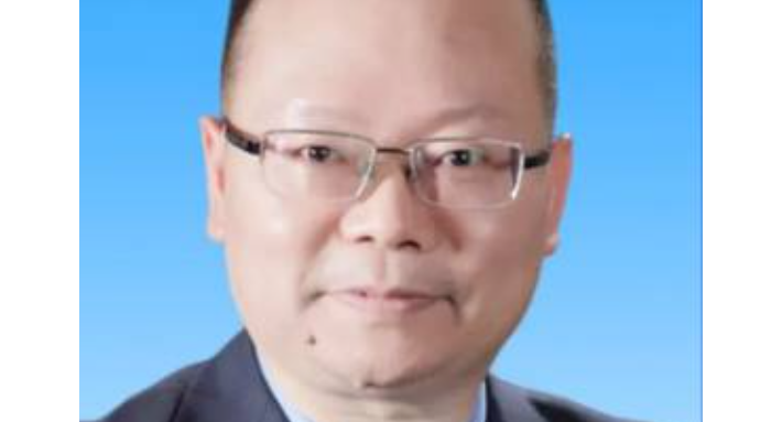 老秃头（地中海追踪恐怖游戏）