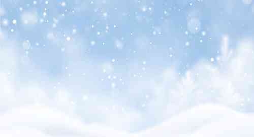 空白项目