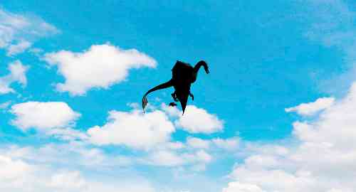 空白项目
